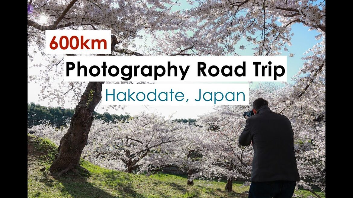 600km Road Trip to Photograph the Cherry Blossoms, Hakodate, Japan, 北海道写真アドベンチャー 600km Road Trip to Photograph the Cherry Blossoms, Hakodate, Japan, 北海道写真アドベンチャー