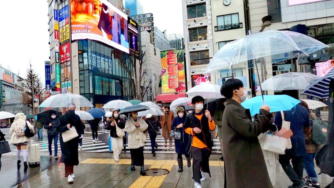Rainy Walk in Tokyo Shinjuku | Calm Holiday’s Walking Tour – 2022【4K】 Rainy Walk in Tokyo Shinjuku | Calm Holiday’s Walking Tour - 2022【4K】