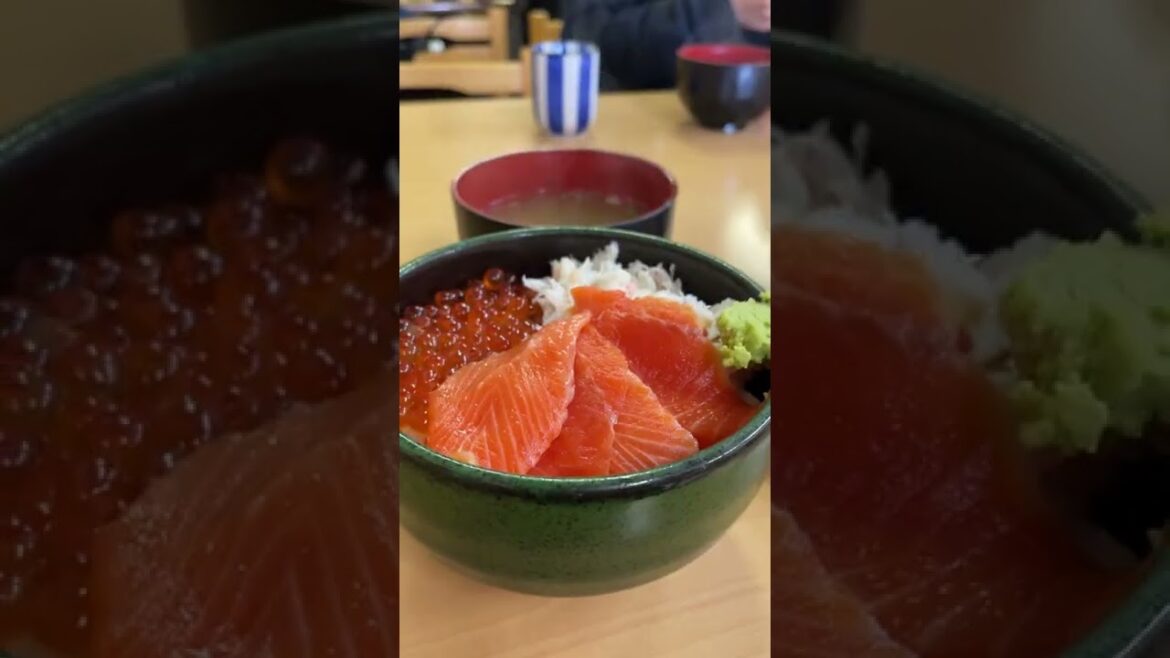 【5日目】函館の最高の夜景に１００万円払えるなら払いたい#shorts