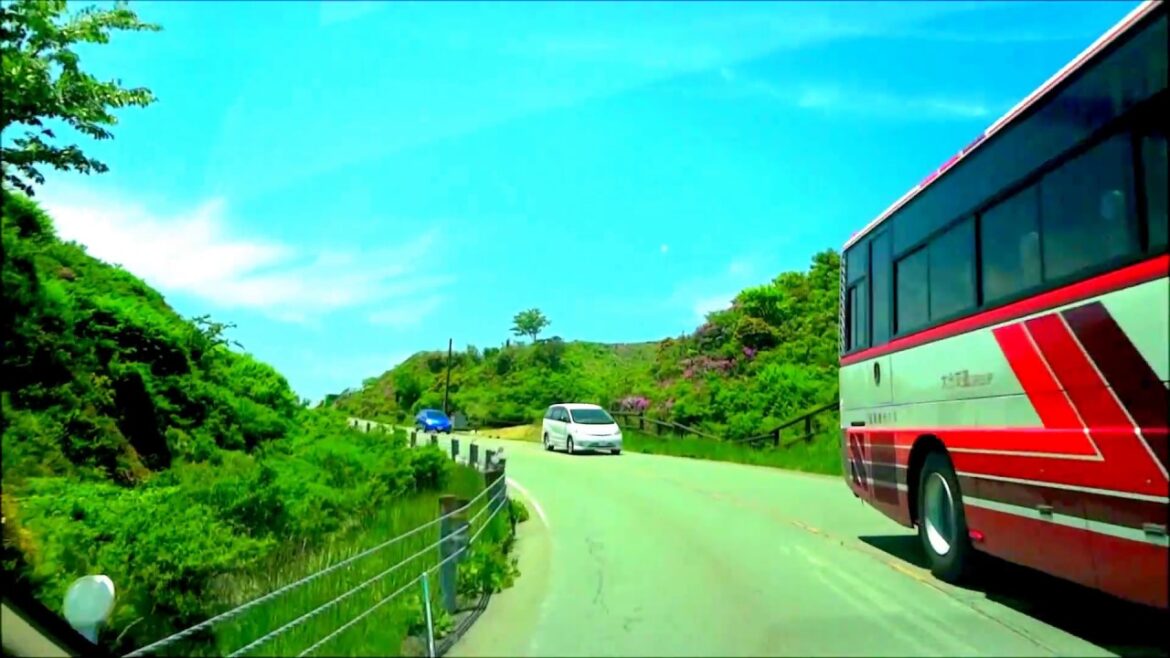 新緑の阿蘇路ドライブ風景