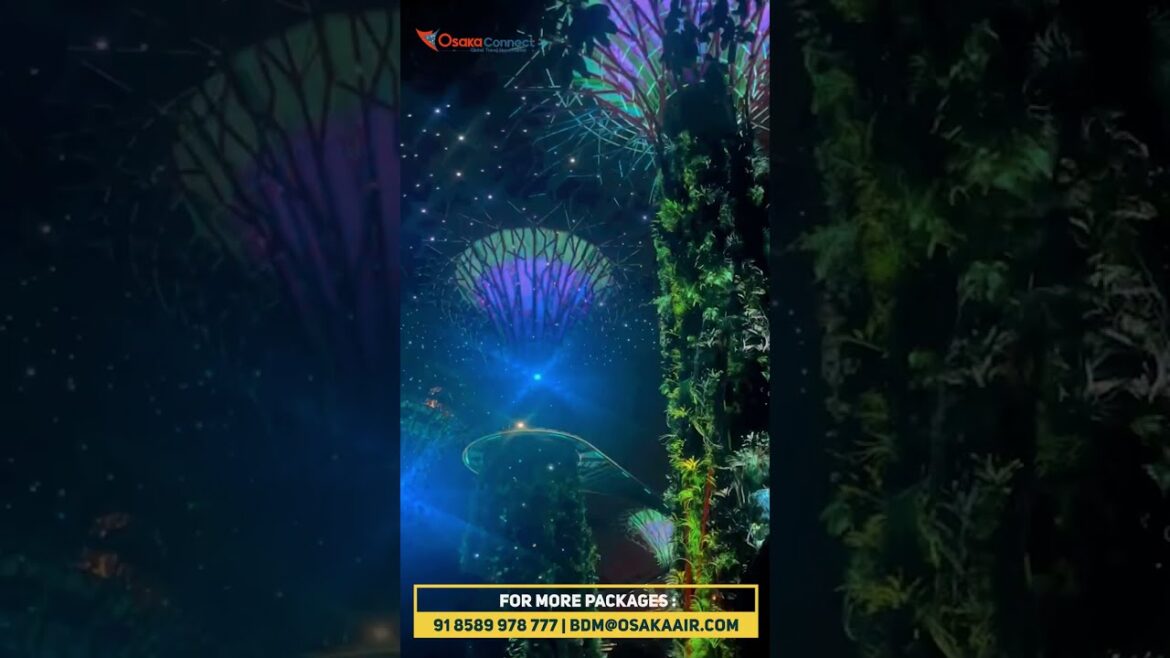 Our Customer having a great time at Singapore & Malaysia | Book Malaysia - Singapore Tour Package