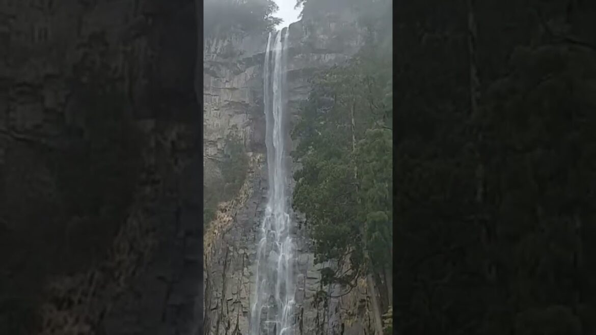 World Unesco Heritage Nachi Falls