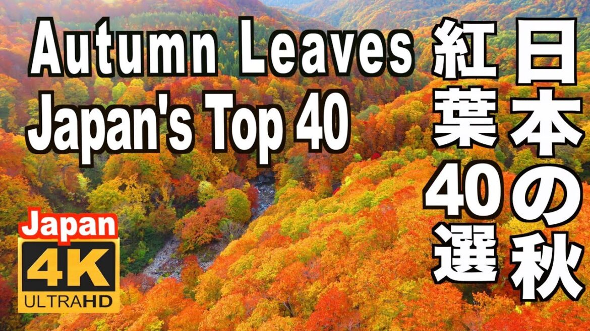 4K Japan's Top 40 Autumn Leaves 日本の紅葉40選 京都 鎌倉 日光 箱根  富士山 裏磐梯 観光 旅行 Kyoto Shirakawago Nikko Hakone