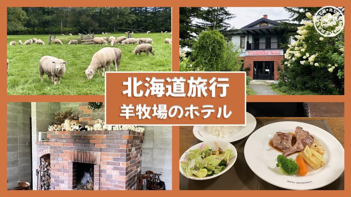 【北海道旅行 帯広・十勝②Yorkshire Farm紹介】羊がいっぱい♪ファームステイ体験ができるペンションに宿泊!北海道の恵みたっぷりの食事&牧場散策 【北海道旅行 帯広・十勝②Yorkshire Farm紹介】羊がいっぱい♪ファームステイ体験ができるペンションに宿泊!北海道の恵みたっぷりの食事&牧場散策