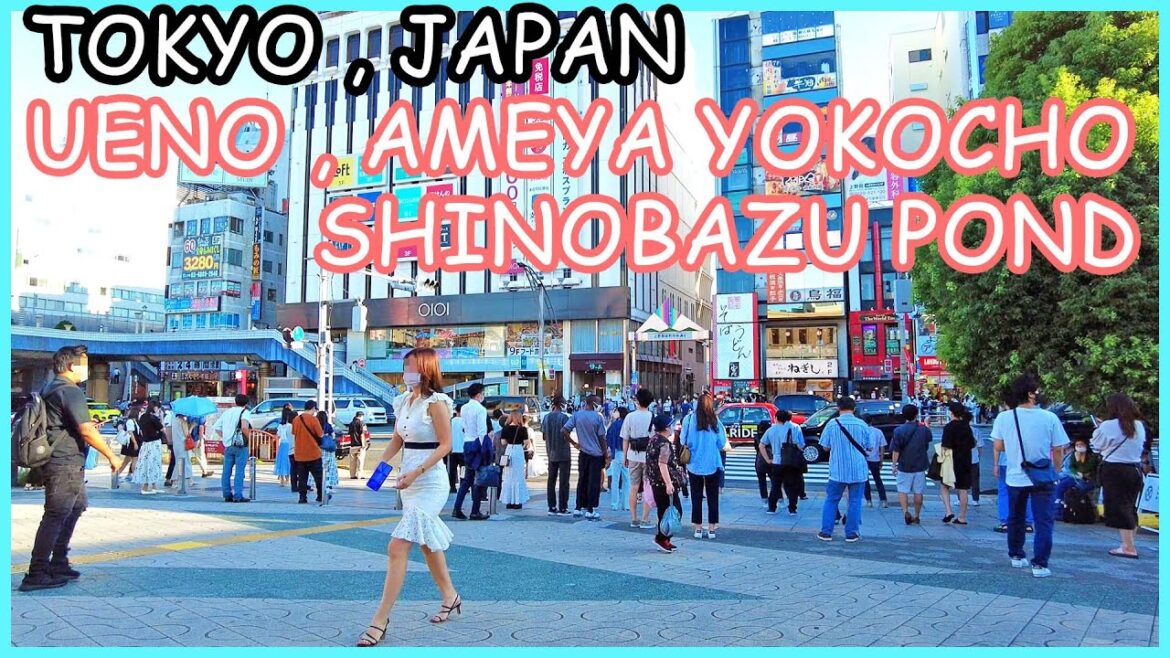 Tokyo walk 4K,Japan - Ueno walking tour 2022 , Ameyoko - Shinobazu Pond