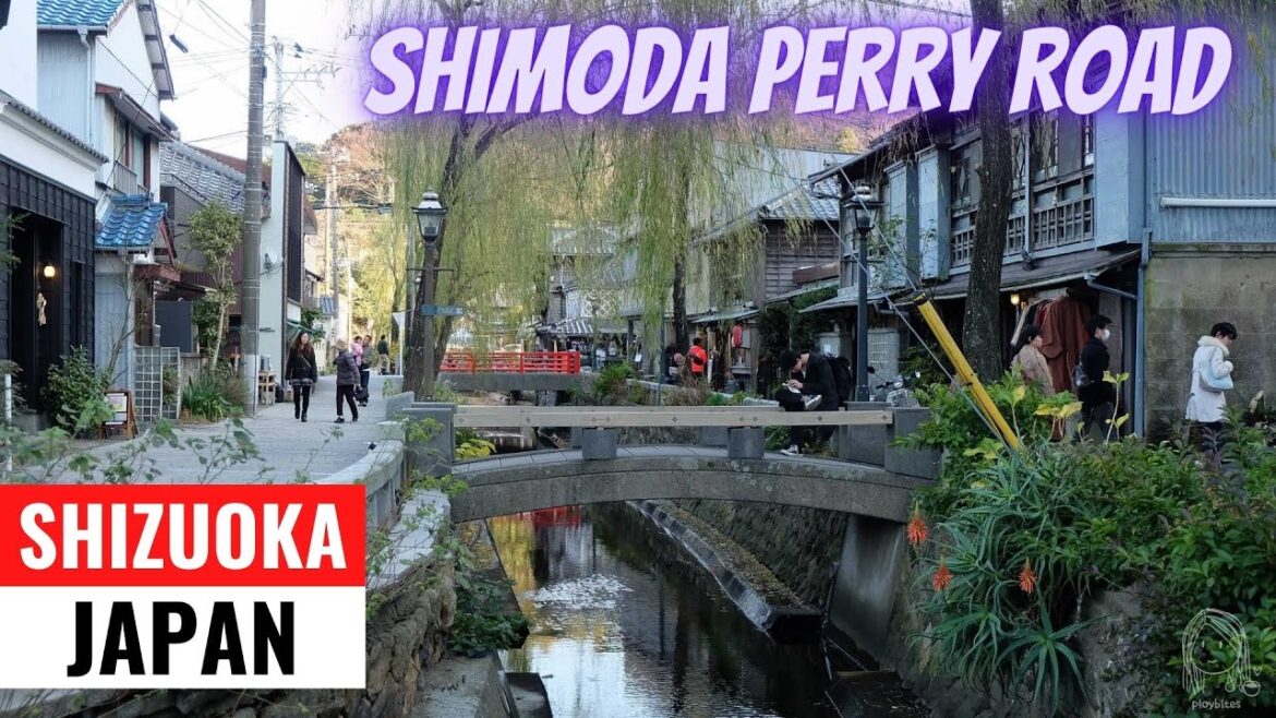 PERRY ROAD, SHIMODA CITY | SHIZUOKA, JAPAN | JAPAN TRAVEL VLOG | MAMUN CHOWDHURY | JAPAN 2022