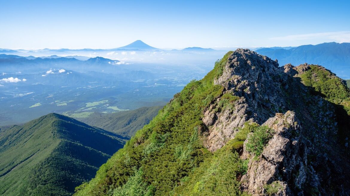 Mountain climbing trip in Japan⛰ Moss forest🌳Mt.Akadake Yatsugatake Day2