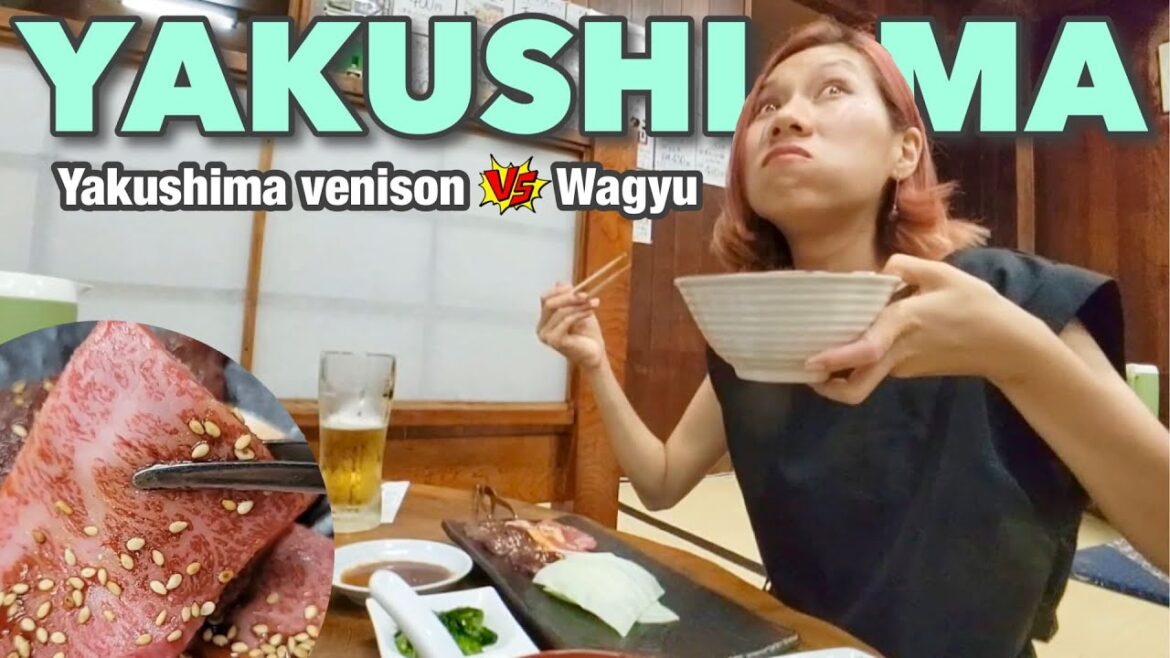Travel to Yakushima #2☆ Which is better, Yakushima venison or Wagyu beef? Japan vlog☆