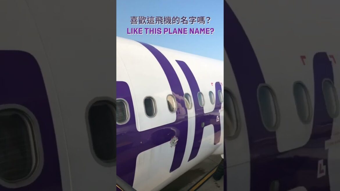 Say no to Shark Fin flight | 想試試踏進鯊魚機艙嗎? Hong Kong Express 香港快運 #shorts Say no to Shark Fin flight | 想試試踏進鯊魚機艙嗎? Hong Kong Express 香港快運 #shorts