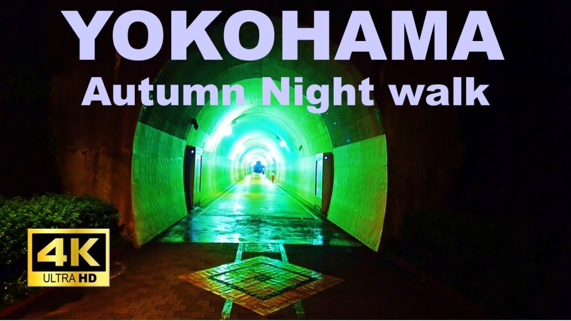 【4K】Yokohama Walking Tour – Toyoko Flower Green Way 【4K】Yokohama Walking Tour - Toyoko Flower Green Way