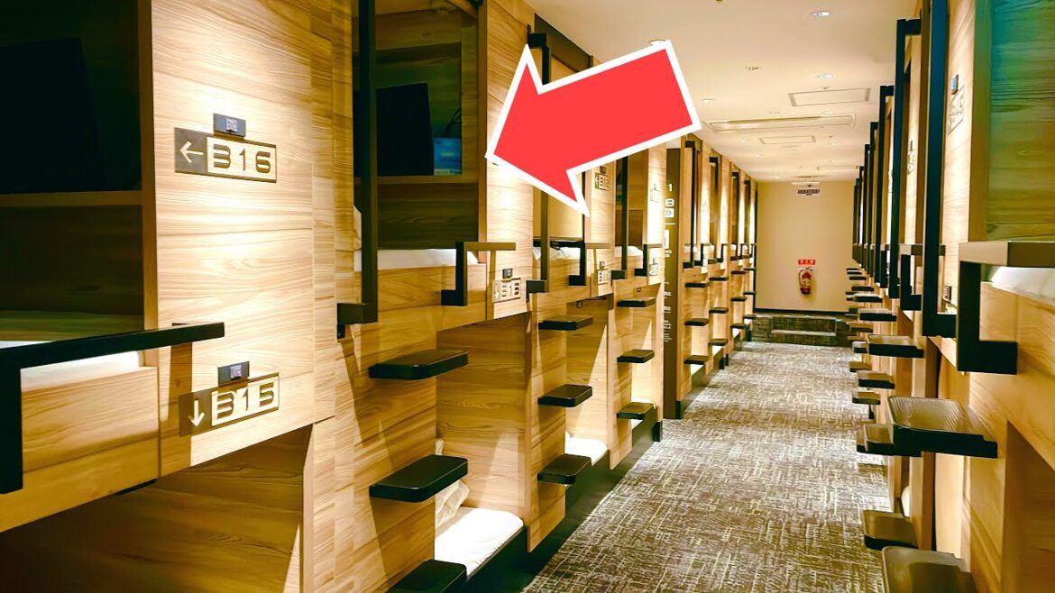 Capsule hotel with popular sauna in 🗾Osaka🏨Daitoyo　大阪で人気のサウナが楽しめるカプセルホテル大東洋