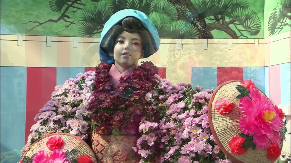 JAPAN FACTFILE: Chrysanthemum Dolls JAPAN FACTFILE: Chrysanthemum Dolls