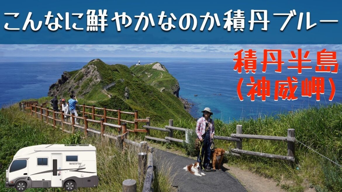 「北海道 岩内から余市へ 神威岬の突端で感激!積丹ブルーは想像以上に透明で鮮やかだったよ!」の巻。【#27 停まった場所が我が家 2022】【ワンコと車中泊】 「北海道 岩内から余市へ 神威岬の突端で感激!積丹ブルーは想像以上に透明で鮮やかだったよ!」の巻。【#27 停まった場所が我が家 2022】【ワンコと車中泊】