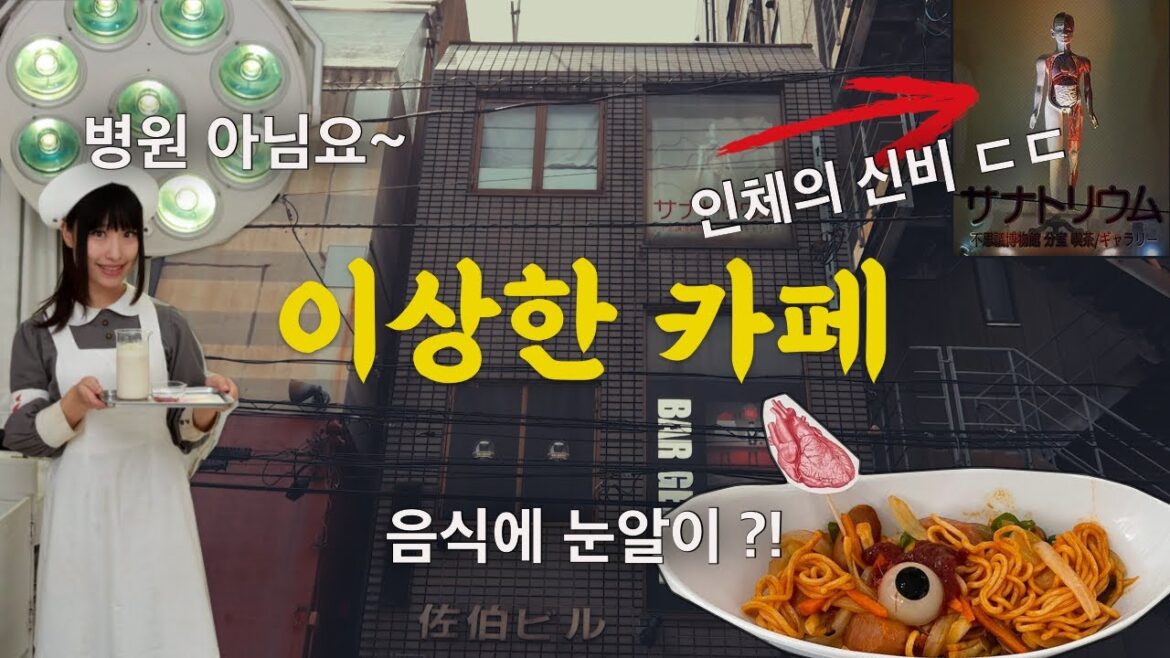 병원 컨셉의 일본 카페. 후쿠오카 텐진 여행 정보 카페투어 서브컬처 vlog