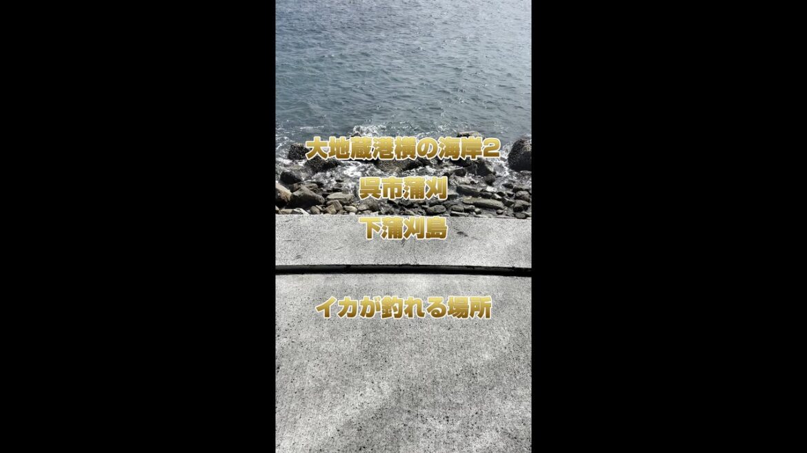 蒲刈の下蒲刈島で【イカ爆釣ポイント】大地蔵港横（牛ヶ首）の海岸02　#広島釣り #釣り #エギング ＃呉釣り #蒲刈　＃下蒲刈島　＃牛ヶ首