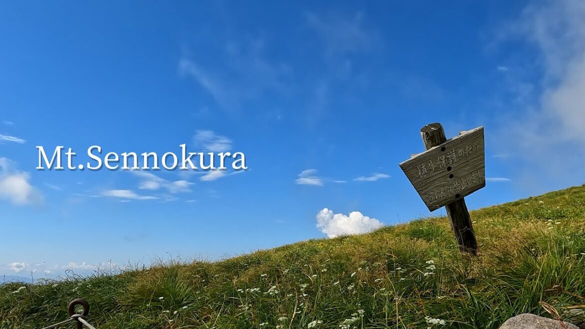 【登山に行きたくなる動画】#53 夏の花の百名山 仙ノ倉山・平標山 LOVE PSYCHEDELICO 「Beautiful World」 【登山に行きたくなる動画】#53 夏の花の百名山 仙ノ倉山・平標山 LOVE PSYCHEDELICO 「Beautiful World」