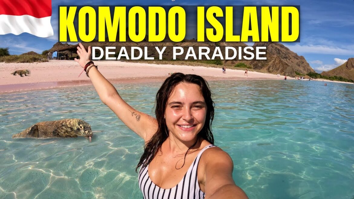 KOMODO ISLAND TOUR - IS THE DANGER WORTH THE PARADISE? 🇮🇩