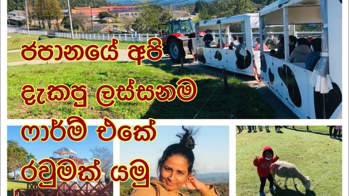 The Beautiful Animal show in Mother Farm|Life in Japan |Animal farm