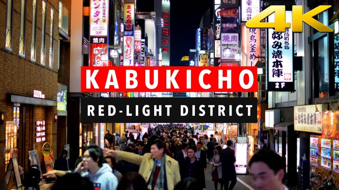 Walk in Kabukicho, Tokyo's Red-Light District | Love Hotels, Bars and Hostess Clubs | 4K 60FPS Walk in Kabukicho, Tokyo's Red-Light District | Love Hotels, Bars and Hostess Clubs | 4K 60FPS