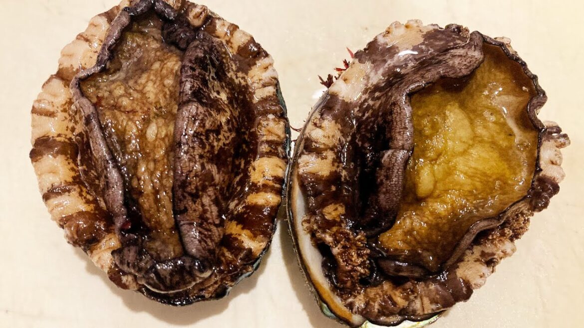 ABALONE - Japanese Street Food Sashimi Seafood