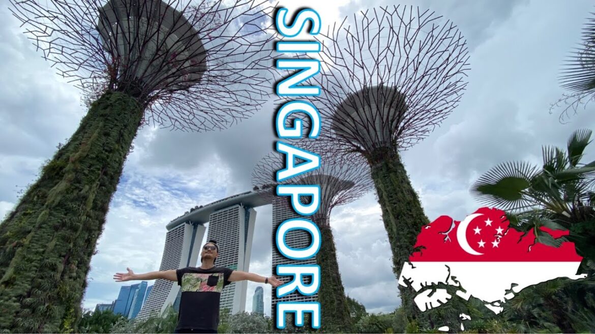 コロナ禍l【シンガポール】ガーデンズ・バイ・ザ・ベイへ近未来を感じてきた #シンガポール #海外旅行 #コロナ禍旅行