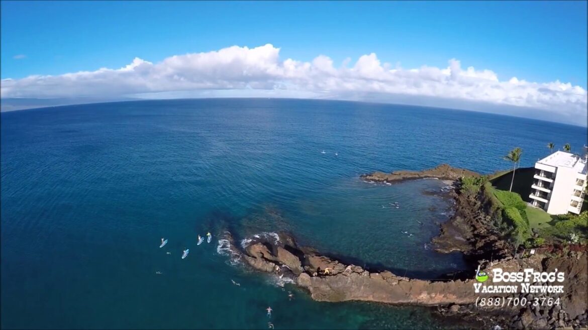 Stand Up Paddle Board Fun with Boss Frog's