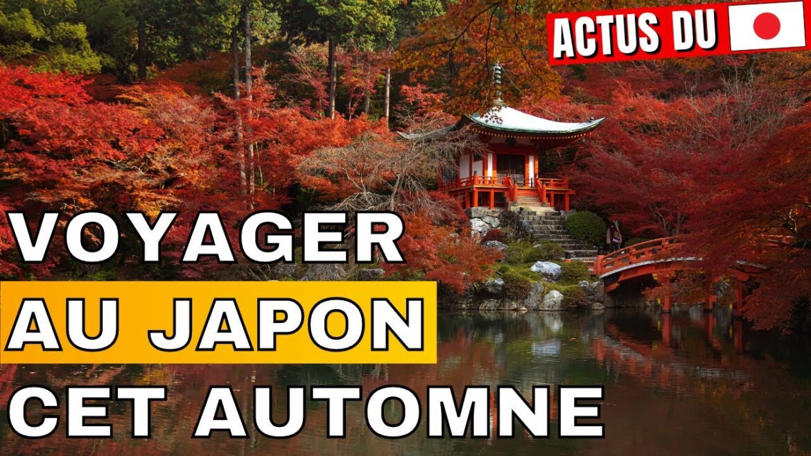 VOYAGER PAS CHER AU JAPON CET AUTOMNE – Infos et bons plans (réductions, koyo et PASS pour tous) ! VOYAGER PAS CHER AU JAPON CET AUTOMNE - Infos et bons plans (réductions, koyo et PASS pour tous) !