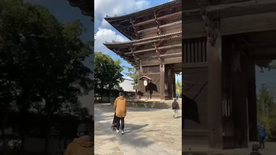 THIS DEER IN NARA JAPAN 😳🇯🇵⛩️ #shorts #japan #traveltips