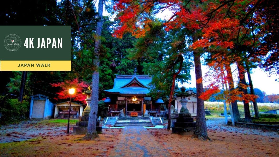 4K Japan Walk -  NIIGATA Ojiya Neighborhood Walking Tour | 新潟小千谷 2021