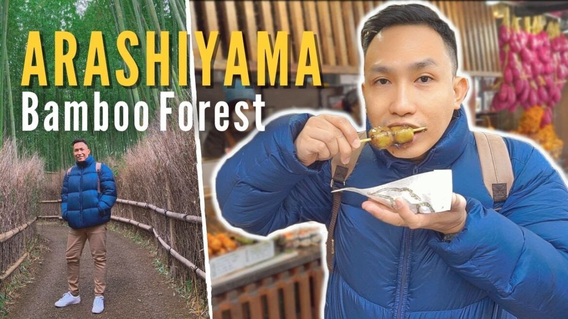 #Japan Diaries Ep.6: Arashiyama Bamboo Grove | Tenryuji Temple | Kyoto Japan