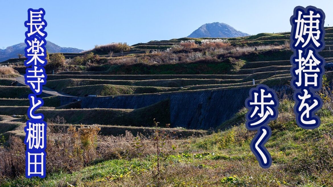 [ お散歩 ] 姨捨の棚田と長楽寺 Trip in Nagano
