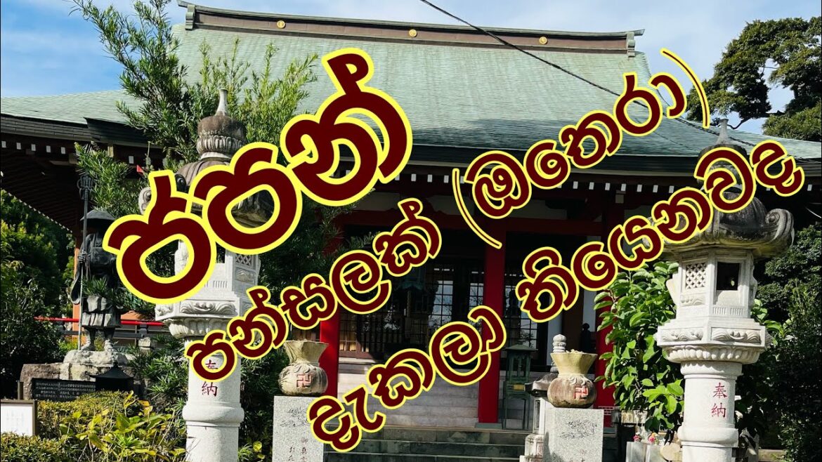 Buddhist Temple in Japan|Temple|Life in Japan Buddhist Temple in Japan|Temple|Life in Japan