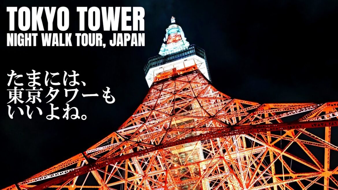 TOKYO TOWER Night Walk Tour | September 2022 TOKYO TOWER Night Walk Tour | September 2022