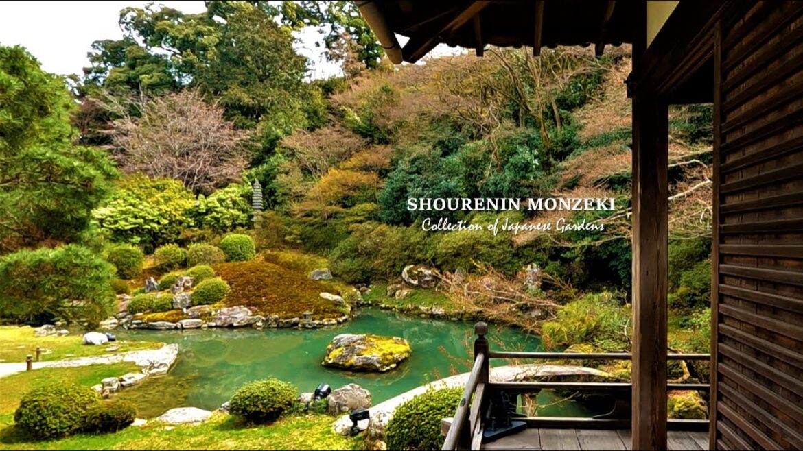 SHORENIN MONZEKI | Pond Garden, Moss Garden, Bamboo fence | Japanese Garden Tour in KYOTO