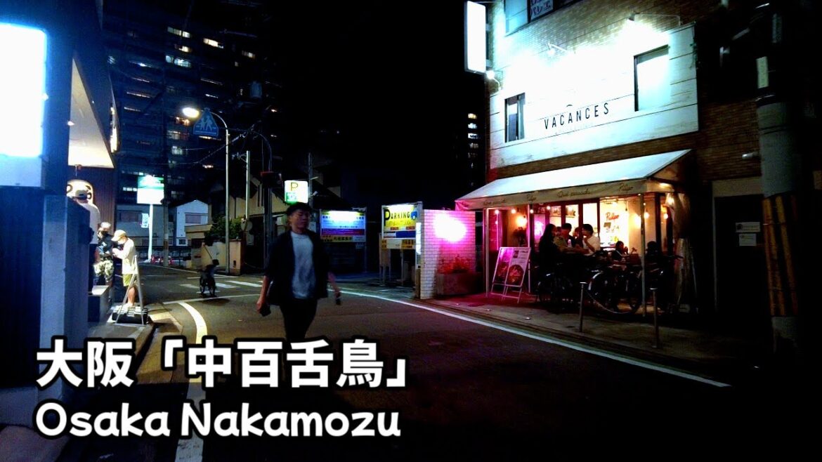 walking around at night Japan | Stroll in Nakamozu, Osaka walking around at night Japan | Stroll in Nakamozu, Osaka
