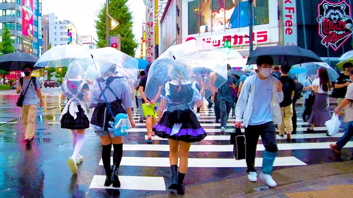 Akihabara in Tokyo. Rainy Maid Cafe Town♪💖🐶4K ASMR non-stop 1 hour 01 minutes Akihabara in Tokyo. Rainy Maid Cafe Town♪💖🐶4K ASMR non-stop 1 hour 01 minutes