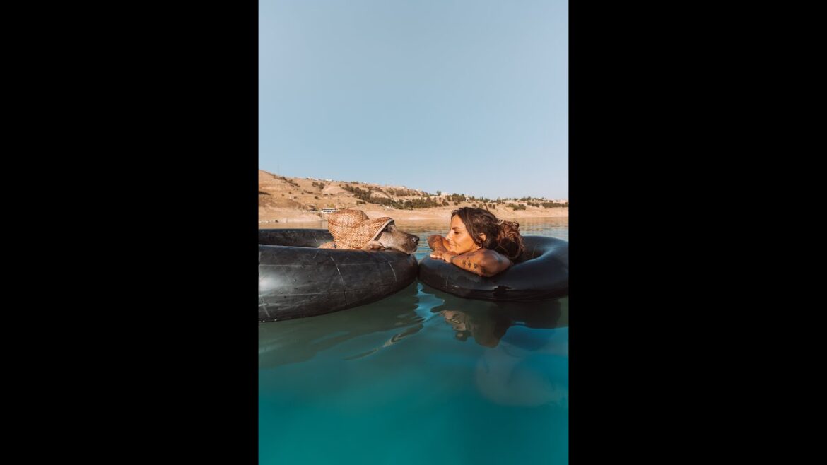 when your dog loves the water more than you #dog #vanlife #iraq when your dog loves the water more than you #dog #vanlife #iraq