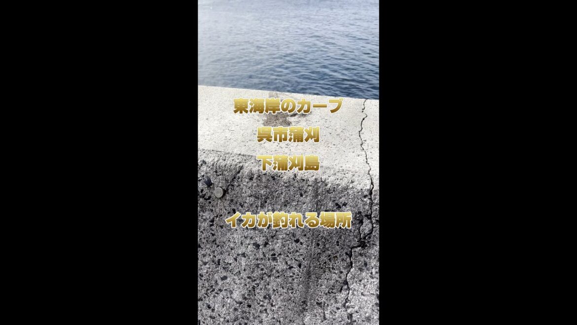 蒲刈の下蒲刈島で【イカ爆釣ポイント】東海岸のカーブ #広島釣り #釣り #エギング #呉釣り #蒲刈 #下蒲刈島 蒲刈の下蒲刈島で【イカ爆釣ポイント】東海岸のカーブ #広島釣り #釣り #エギング #呉釣り #蒲刈 #下蒲刈島