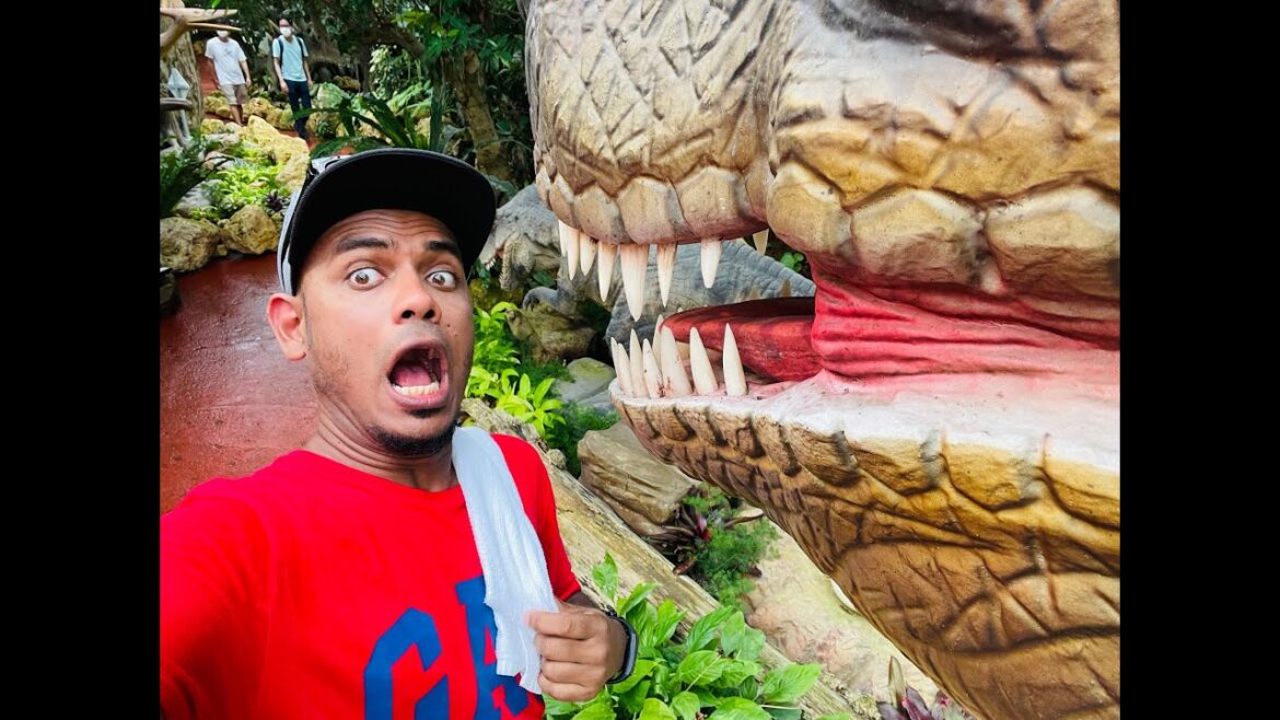 Most search place in Okinawa island | pineapple garden | full video link in first comment | japan Most search place in Okinawa island | pineapple garden | full video link in first comment | japan