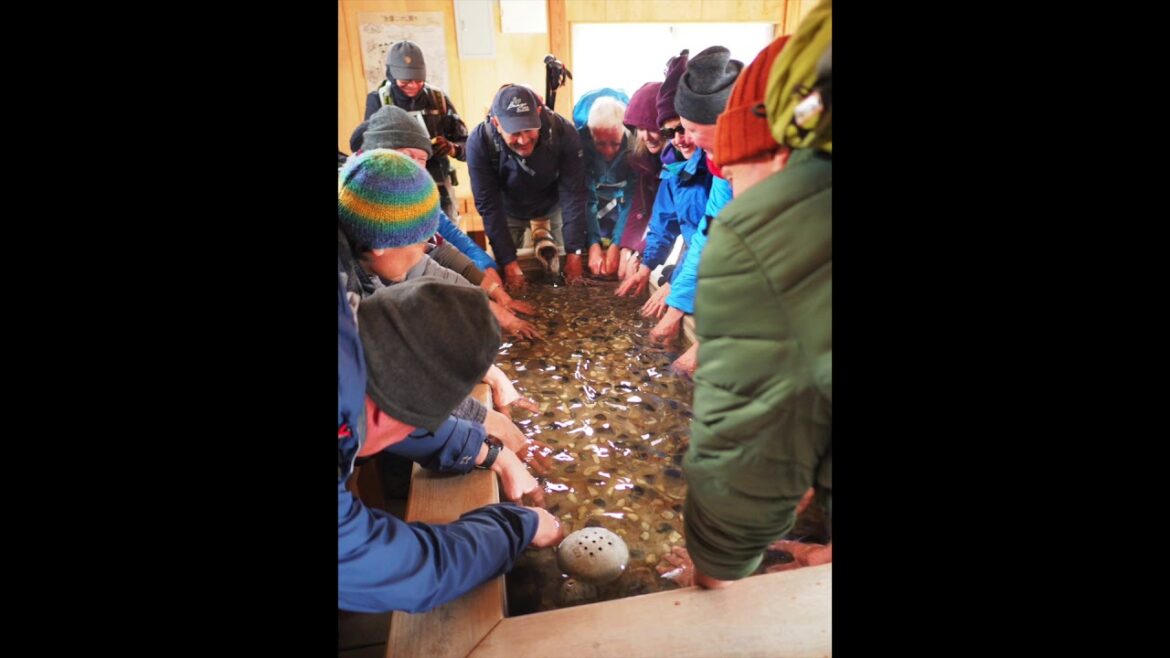 The Narrow Road to the Deep North Basho Tour 松尾芭蕉「奥の細道」を歩く by Redleaf Tours Japan The Narrow Road to the Deep North Basho Tour 松尾芭蕉「奥の細道」を歩く by Redleaf Tours Japan
