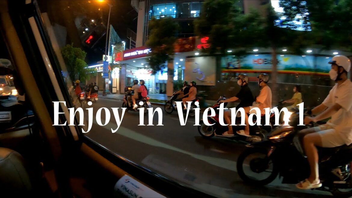 Enjoy in Vietnam 1