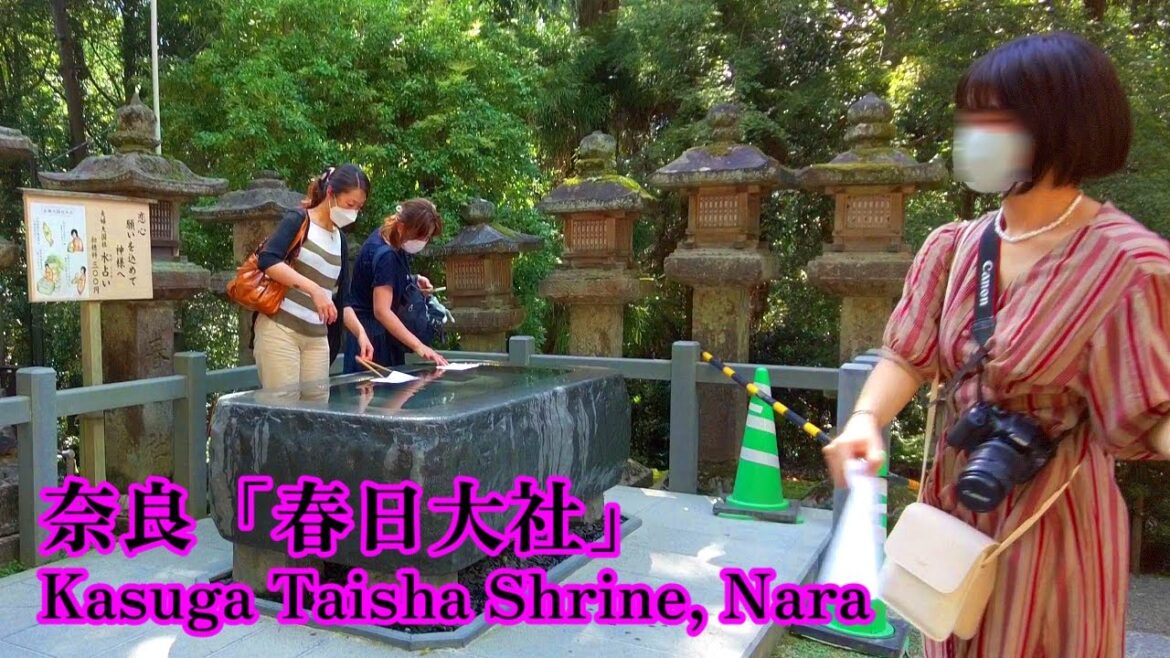 Walking Japan | Walking around "Kasuga Taisha" in Nara.