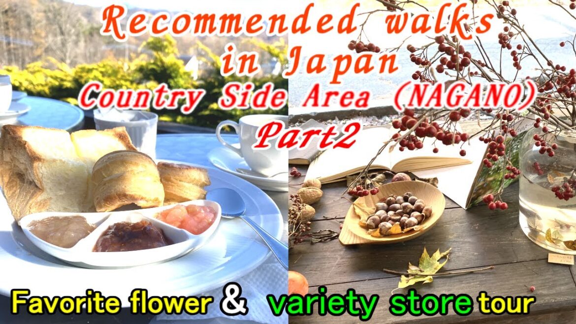 Japan walking : Introducing the popular countryside in Japan vol3.My heart that is always healed. Japan walking : Introducing the popular countryside in Japan vol3.My heart that is always healed.