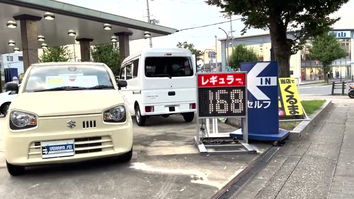 Kyoto Walk Shirakawa