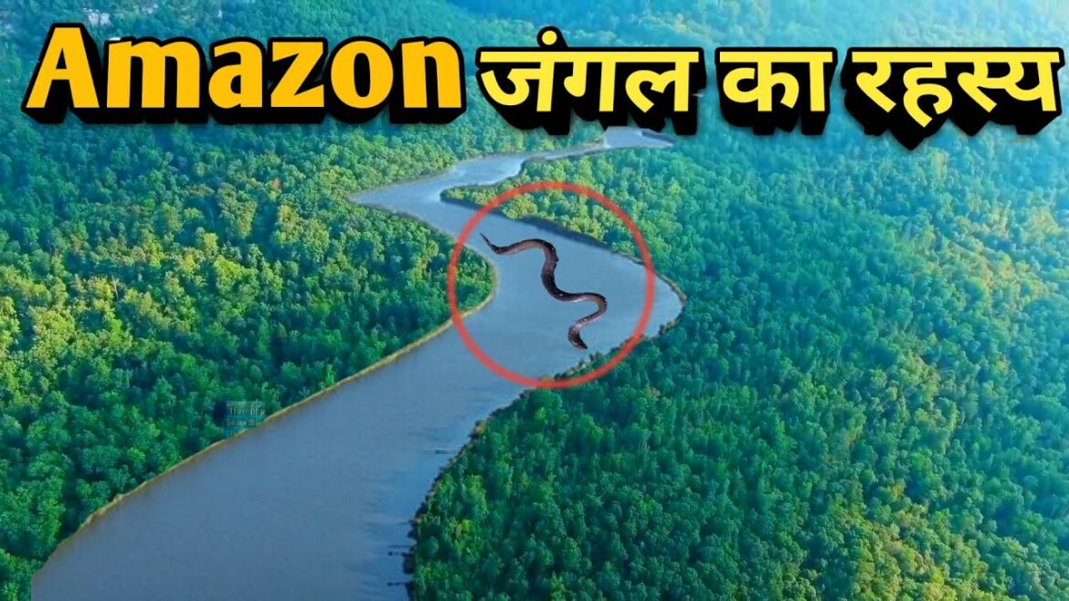 अमेज़न जंगल के रहस्य से आप हैरान हो जाएंगे / amazon jungle ka rahasya