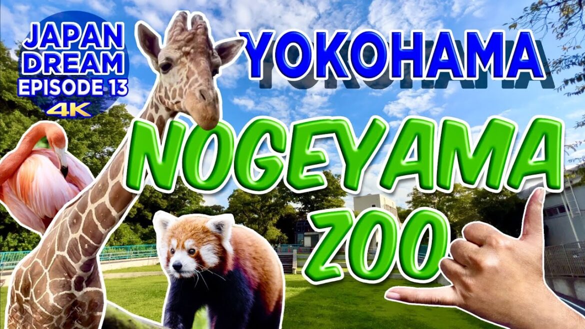 The Amazing Nogeyama Zoo in YOKOHAMA!