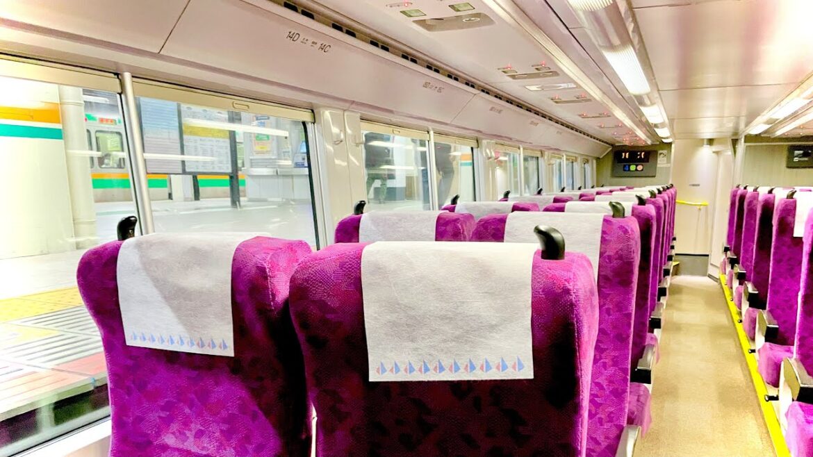 Riding on Japan’s Major Train from Tokyo Station | Tokaido Main Line