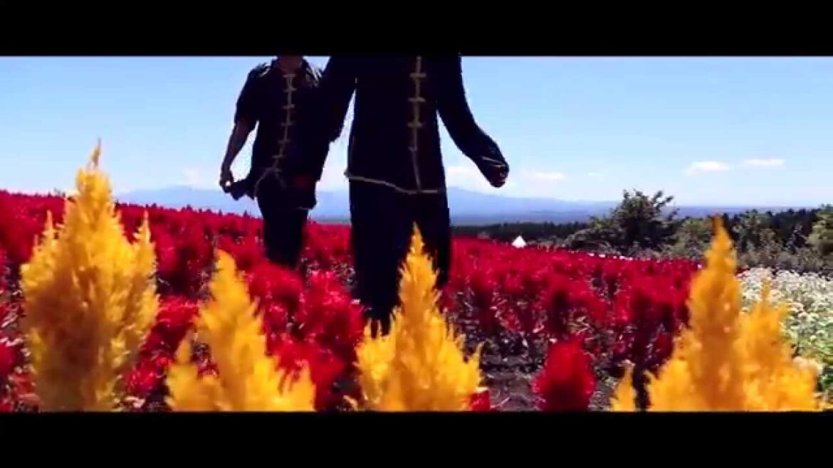 Oita Promotion Video 2015 (2/6) [For Vietnam] 　ベトナム向け大分県ＣＭ