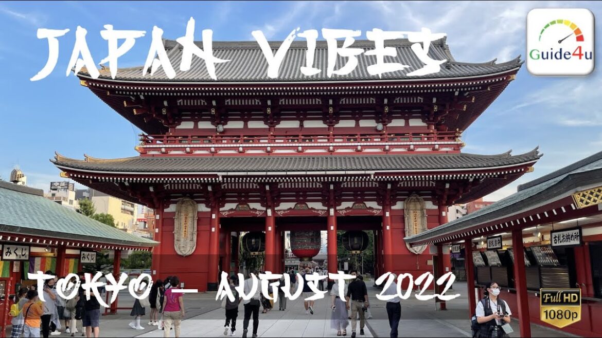 Japan Vibes | Japan after COVID | ജപ്പാൻ കോവിഡിന് ശേഷം | Travel Vlog | Malayalam Japan Vibes | Japan after COVID | ജപ്പാൻ കോവിഡിന് ശേഷം | Travel Vlog | Malayalam