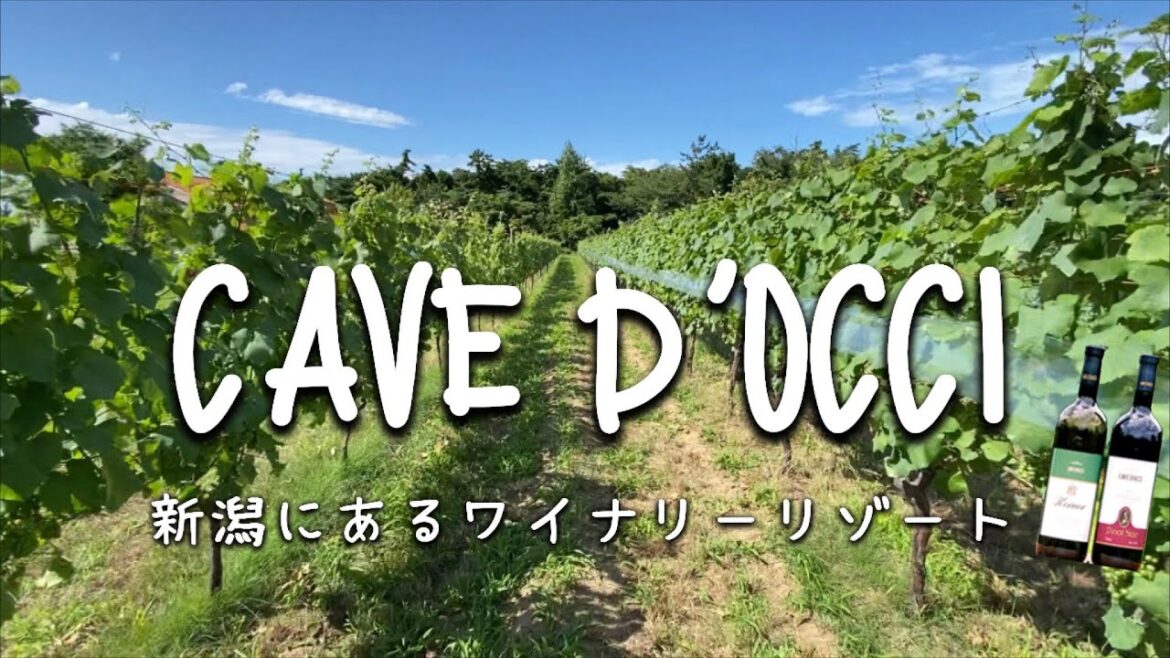 Travel vlog：CAVE D'OCCI｜新潟県にあるワイナリーリゾート｜カーブドッチワイナリー。